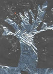 Trees in Winter 