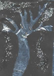 Trees in Winter 