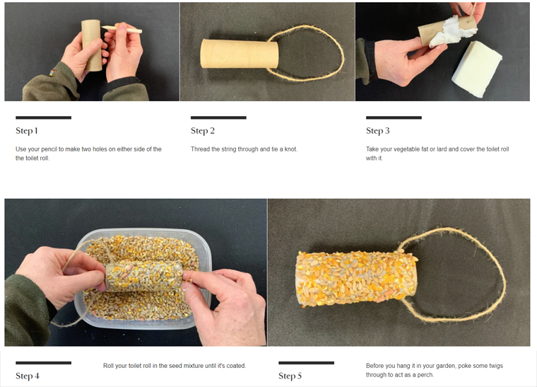 Toilet Roll Bird Feeder Instructions