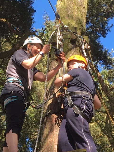 Peat Rigg Residential