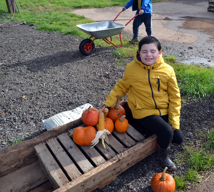 Pick your own Pumpkin