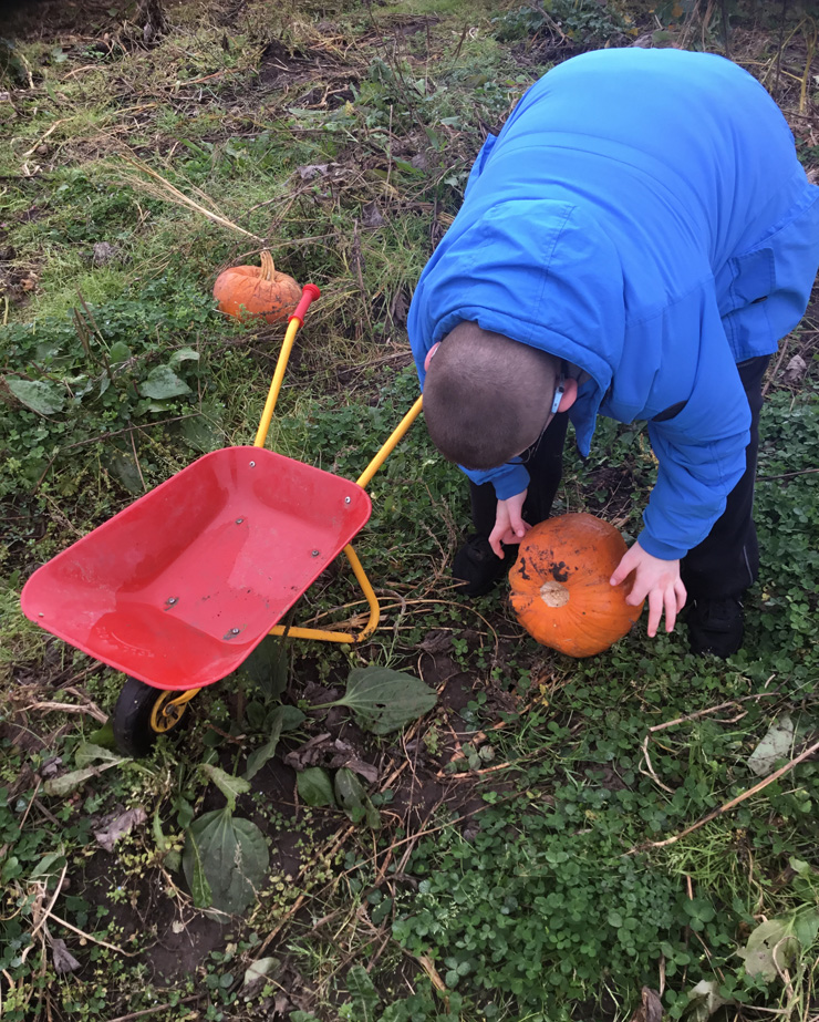 Pick your own Pumpkin